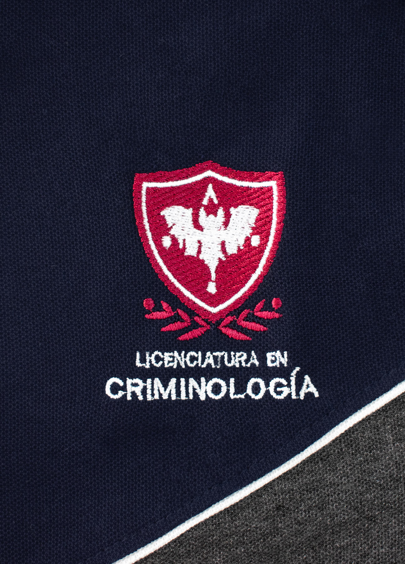 US-PoloLicCHCrimenologia_01