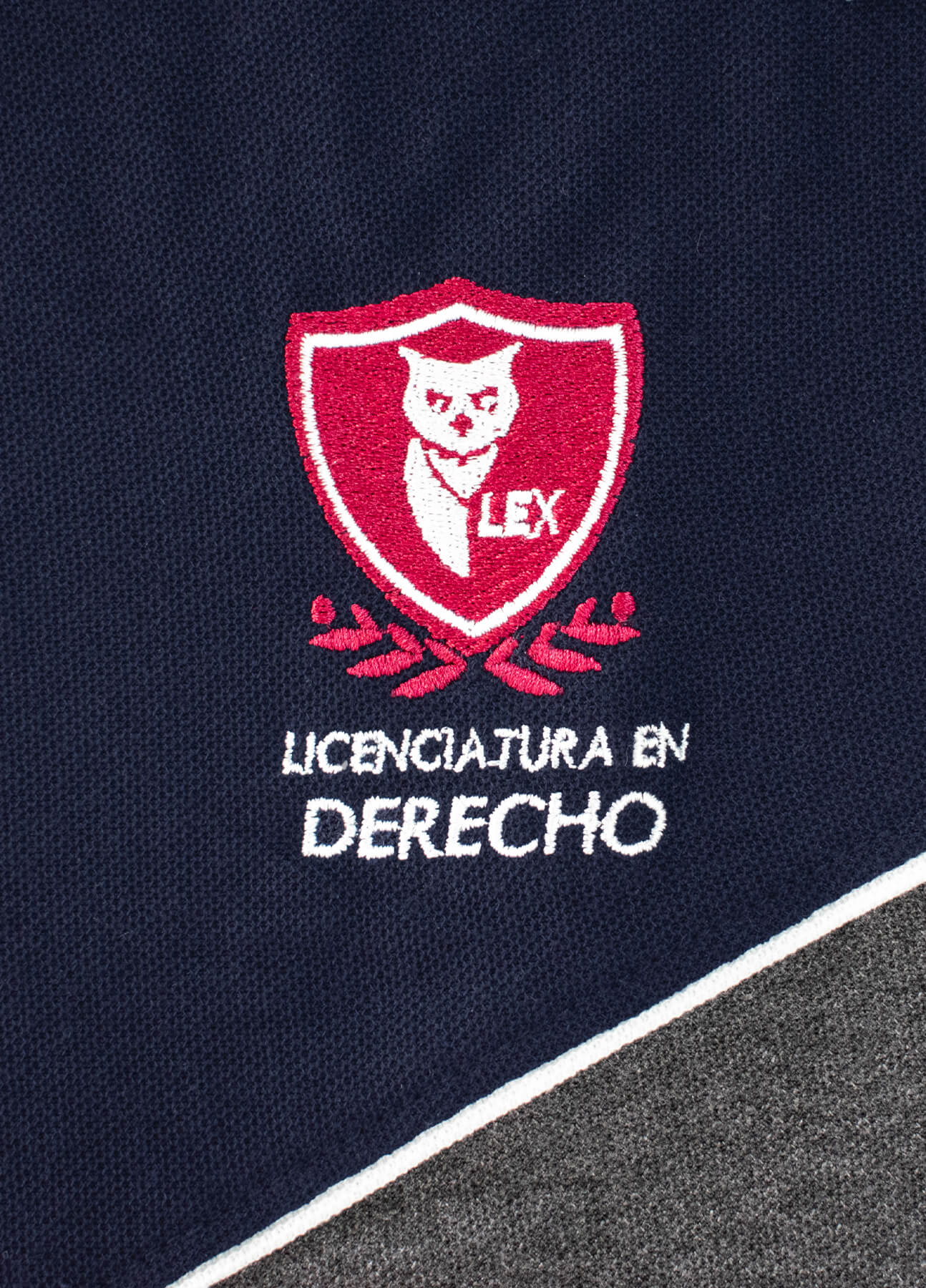 US-PoloLicCHDerecho_01