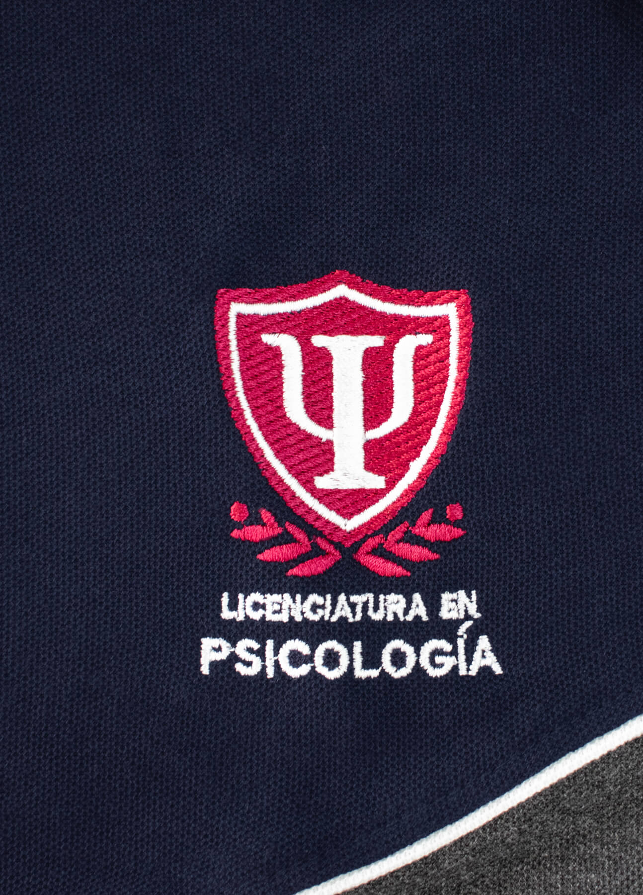 US-PoloLicCHPsicologia_01