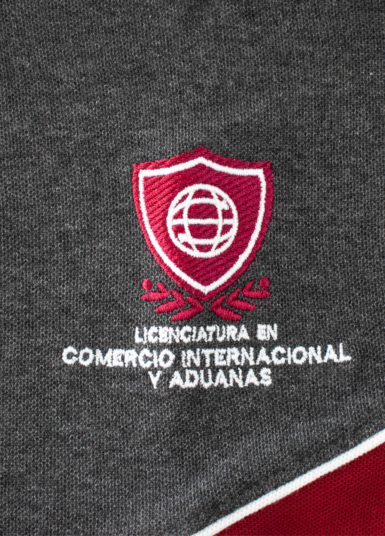 US-PoloLicNCInternacionalM_01